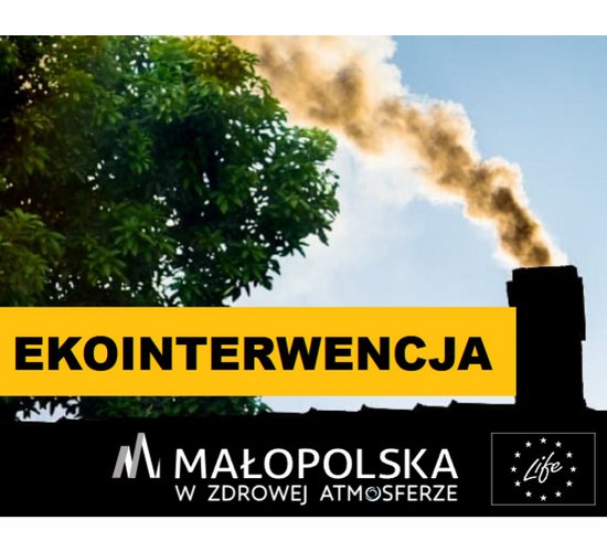 Grafika - Ekointerwencja